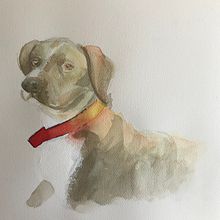 Proyecto final - taller de acuarelas. Watercolor Painting project by Alejandro Arata - 07.31.2020
