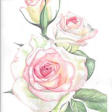 Nuevas practicas. Een project van  Botanische illustratie van yajoazsa - 01.08.2020