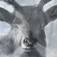 My project in Naturalist Animal Illustration with Procreate course. Un progetto di Disegno digitale e Pittura digitale di Holly Moore - 25.07.2020