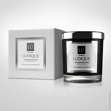 Ludique Producto 3d Ein Projekt aus dem Bereich 3D und 3-D-Design von Luis Hernandez - 07.04.2017
