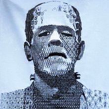 Franky mi proyecto del curso: Introducción al bordado en blackwork. Un proyecto de Bordado, Costura y Dibujo de Retrato de Mary Paullada - 01.08.2020