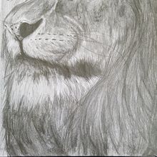 The Lion . Artistic Drawing, Drawing, and Pencil Drawing project by Juancarlo Diaz Cintron - 08.02.2020