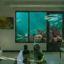 Mi Proyecto del curso: Fotomontaje surrealista con Photoshop . Un proyecto de Composición fotográfica de Jorge Luis Pérez de la Torre - 02.08.2020
