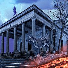 Mi Proyecto del curso: El Tigre. Photograph project by RENE CAMPOS - 08.03.2020