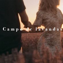 Campo de lavandas. Un proyecto de Cine, Dirección de arte, Stor y telling de Sebas Oz - 04.08.2020