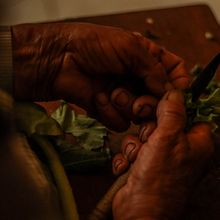 Meu projeto do curso: Introdução à fotografia de família - A Matriarca . Documentar, and Photograph project by Dina Silva - 08.04.2020