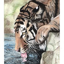 PROYECTO FINAL_TIGRE TOMANDO AGUA. Watercolor Painting project by Mario Young Leitón - 08.08.2020