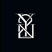 Branding Why to Envy. Br, ing, Identit, Calligraph, Design, Logo Design, Costume Design, Graphic Design, T, pograph, and Design project by Maikel Martínez Pupo - 08.05.2020