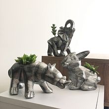 Mi Proyecto del curso: Fotografía profesional para Instagram. Een project van Fotografische compositie y Mobiele fotografie van Javier Dallos - 06.08.2020