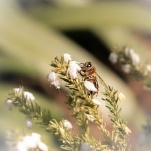 FOTOGRAFÍA. Un projet de Photographie extérieure de Rocio Alvarado - 07.08.2020