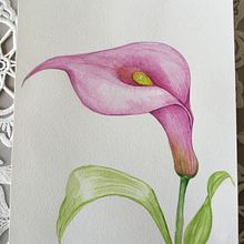 Mi Proyecto del curso: Ilustración botánica con acuarela. Un progetto di Illustrazione tradizionale, Belle arti, Pittura, Disegno, Pittura ad acquerello e Illustrazione botanica di Sira Worling - 23.02.2022