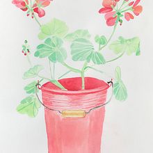 Pelargonias. Pintura em aquarela projeto de Sarah Nilsson - 12.08.2020
