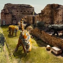 Mi Proyecto del curso: Tigres de la montaña. Photomontage, Photographic Composition, and Photo Retouching project by Jonnathan Cóndor Alvarado - 08.13.2020