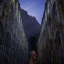 Mi Proyecto del curso: Kuroneko's Shrine Ein Projekt aus dem Bereich Fotografische Komposition, Traditionelle Illustration und Fotoretuschierung von Federico Navarro - 13.08.2020
