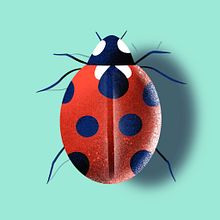 Animals. Children's Illustration, and Digital Illustration project by ashnakalra85 - 08.10.2020