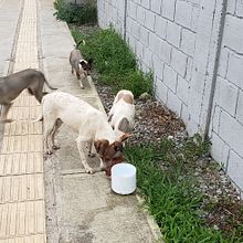 Mi Proyecto del curso: Creatividad aplicada a proyectos personales. Creativit project by Luis Figueroa - 08.14.2020