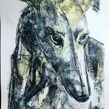 Galgo, acuarela y grafito acuareable. Watercolor Painting project by Montse Cirera - 08.14.2020