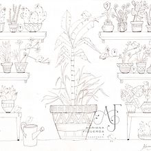 PLANTAS. Un progetto di Illustrazione tradizionale di Adriana Isabel Figueroa Mañas - 17.08.2020