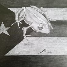 The Coqui of Puerto Rico. Artistic Drawing, Drawing, and Portrait Drawing project by Juancarlo Diaz Cintron - 08.17.2020
