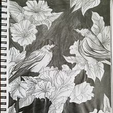 The Little Birds of Nature.. Artistic Drawing, Drawing, Pencil Drawing, and Portrait Drawing project by Juancarlo Diaz Cintron - 08.17.2020
