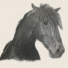 Black Horse. Un proyecto de Dibujo de Catherine Dunn - 18.02.2000