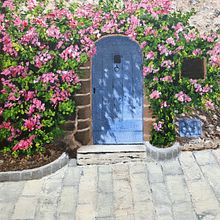 Door with Flowers. Un proyecto de Pintura acrílica de Catherine Dunn - 17.03.2014