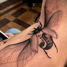 Fauna e flora. Artes plásticas, e Desenho de tatuagens projeto de Maria Clara Guimarães - 06.11.2020