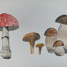 My project in Botanical Watercolor Sketchbook course Ein Projekt aus dem Bereich Aquarellmalerei von bvicuska - 18.08.2020