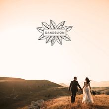 Dandelion Estudio. Un projet de Br, ing et identité , et Webdesign de Mónica Durán · Visual Bloom - 27.03.2019