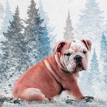 CUTE DOG. Photographic Composition, Photograph, Fine-Art Photograph, Mobile Photograph, Instagram Photograph, Photomontage, Photographic Lighting, and Photo Retouching project by David Fernando Rico Ramirez - 08.20.2020