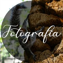 Fotografía. Een project van Buitenfotografie van Mariana Vilchis - 20.08.2020