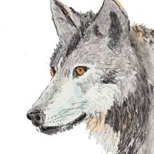 Mi Proyecto del curso: Técnicas experimentales de acuarela para principiantes . Un proyecto de Ilustración tradicional de mocariz - 20.08.2020