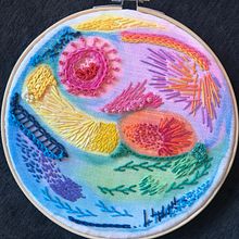 Nuevo proyecto Investigación Acuarela Hilos. Embroider project by Paula Carvajal - 08.20.2020
