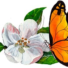 Ilustración del cuento "La Mariposa y la Flor del Manzano". Un proyecto de Ilustración tradicional e Ilustración infantil de Regina von Reitzenstein - 21.08.2020