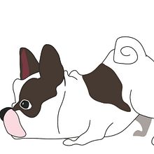 Mascotas. Un proyecto de Dibujo digital de Helga Montalván - 21.08.2020