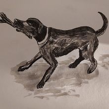 I enjoyed this course very much, it open my mind.. Drawing project by elula120 - 08.22.2020