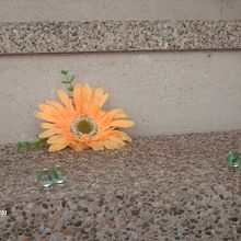 Amistad. Stop Motion project by Abigail Sanchez - 08.23.2020