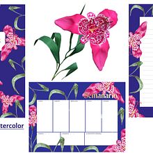 Mi Proyecto del curso: Ilustración botánica con acuarela. Traditional illustration, Botanical Illustration, and Watercolor Painting project by Nadia Ham - 08.24.2020