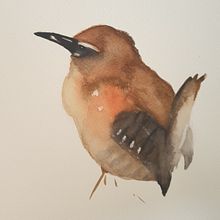 Dibujos actuales. Projekt z dziedziny  R i sunek użytkownika darth_cita - 24.08.2020