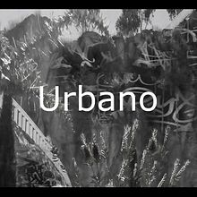 Fotografías Urbano . Un progetto di Fotografia in studio e Fotografia di moda di Ariadna Sánchez - 30.06.2019