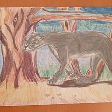 Dibujos infantiles. Projekt z dziedziny  R i sunek użytkownika darth_cita - 25.08.2020