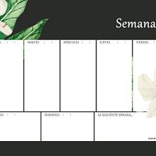 Flor Mariposa Blanca. Watercolor Painting project by Keytia Rivero - 08.25.2020