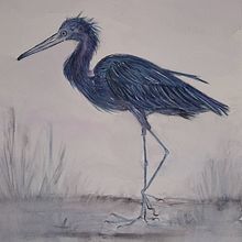 Mi Proyecto del curso: Ilustración naturalista de aves con acuarela. Un proyecto de Ilustración tradicional de dogosdoneloy - 26.08.2020