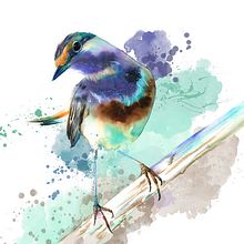 Acuarela. Een project van  Tekening van Silvia T - 23.10.2020