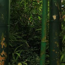 Fotografía de paisaje . Un progetto di Fotografia artistica e Fotografia documentaria di Ariadna Sánchez - 30.08.2020