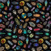 ELYTRA. Een project van Traditionele illustratie y Digitale illustratie van Diana Flores Blazquez - 27.08.2020