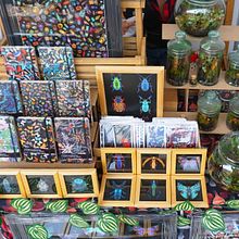 NATURE ILLUSTRATION. Un proyecto de Creatividad, Decoración de interiores, Dibujo artístico, Diseño de producto e Ilustración tradicional de Diana Flores Blazquez - 27.08.2020