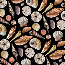 ACUA. Un progetto di Illustrazione digitale di Diana Flores Blazquez - 27.08.2020