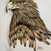 Meu projeto do curso: Ilustração naturalista de aves com aquarela. Projekt z dziedziny  Sztuki piękne użytkownika Lais Porto - 29.08.2020