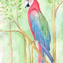 Aves . Ilustrație tradițională de Patricia Montaña - 09.06.2020